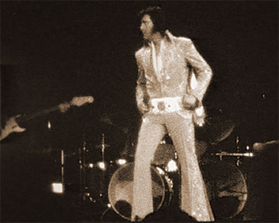 Elvis on stage at the Garden